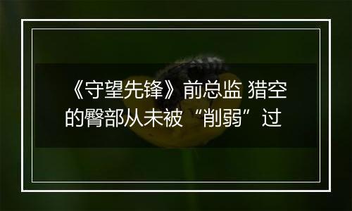 《守望先锋》前总监 猎空的臀部从未被“削弱”过