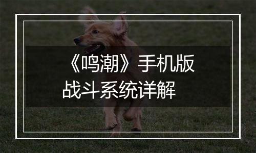 《鸣潮》手机版战斗系统详解
