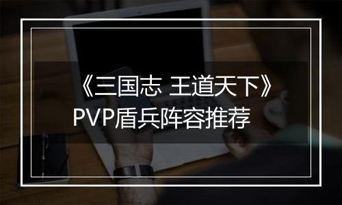 《三国志 王道天下》PVP盾兵阵容推荐