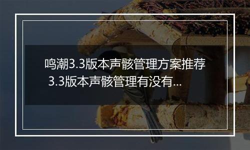 鸣潮3.3版本声骸管理方案推荐 3.3版本声骸管理有没有方案码