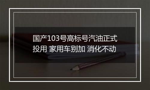 国产103号高标号汽油正式投用 家用车别加 消化不动