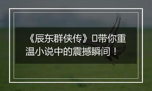 《辰东群侠传》​带你重温小说中的震撼瞬间！