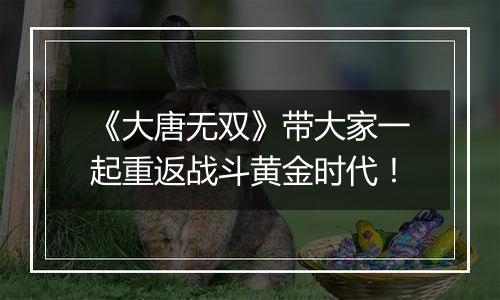 《大唐无双》带大家一起重返战斗黄金时代！