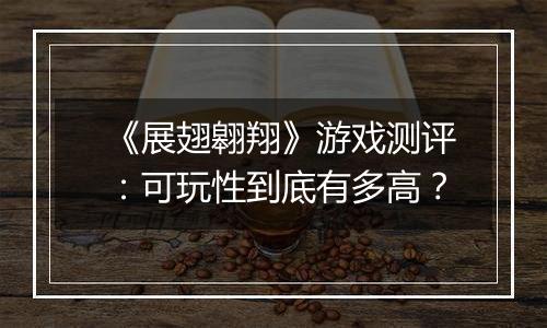 《展翅翱翔》游戏测评：可玩性到底有多高？