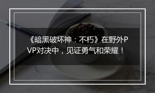 《暗黑破坏神：不朽》在野外PVP对决中，见证勇气和荣耀！
