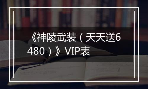 《神陵武装（天天送6480）》VIP表