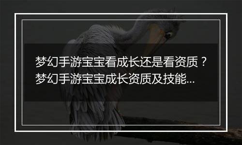 梦幻手游宝宝看成长还是看资质？梦幻手游宝宝成长资质及技能数量占比教学