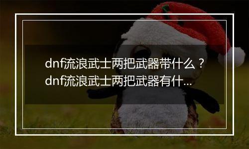 dnf流浪武士两把武器带什么？dnf流浪武士两把武器有什么用