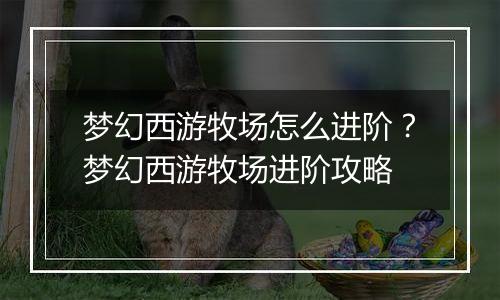 梦幻西游牧场怎么进阶？梦幻西游牧场进阶攻略