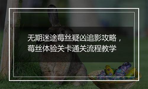无期迷途莓丝疑凶追影攻略，莓丝体验关卡通关流程教学