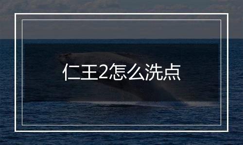 仁王2怎么洗点