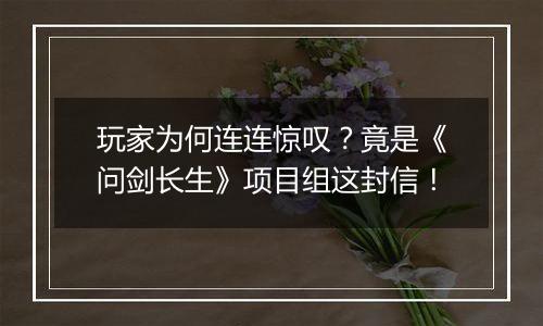 玩家为何连连惊叹？竟是《问剑长生》项目组这封信！