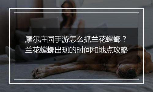 摩尔庄园手游怎么抓兰花螳螂？兰花螳螂出现的时间和地点攻略