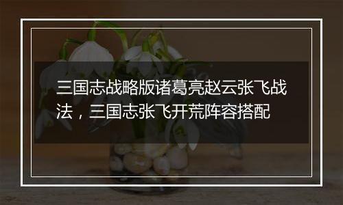 三国志战略版诸葛亮赵云张飞战法，三国志张飞开荒阵容搭配