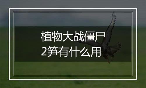 植物大战僵尸2笋有什么用