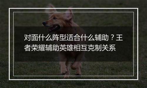 对面什么阵型适合什么辅助？王者荣耀辅助英雄相互克制关系