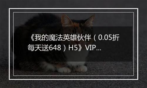 《我的魔法英雄伙伴（0.05折每天送648）H5》VIP等级表