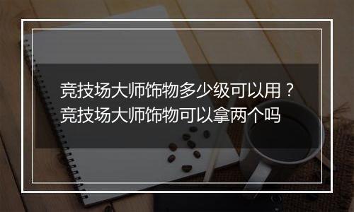 竞技场大师饰物多少级可以用？竞技场大师饰物可以拿两个吗