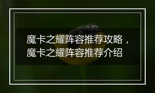 魔卡之耀阵容推荐攻略，魔卡之耀阵容推荐介绍