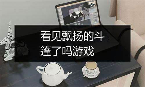 看见飘扬的斗篷了吗游戏