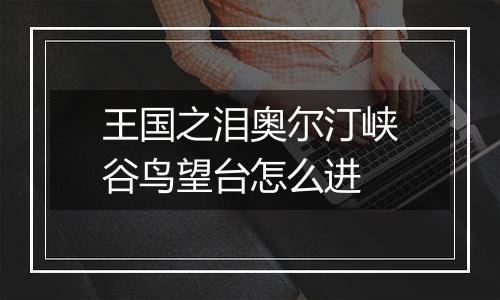 王国之泪奥尔汀峡谷鸟望台怎么进