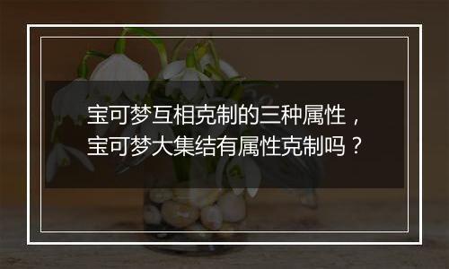 宝可梦互相克制的三种属性，宝可梦大集结有属性克制吗？