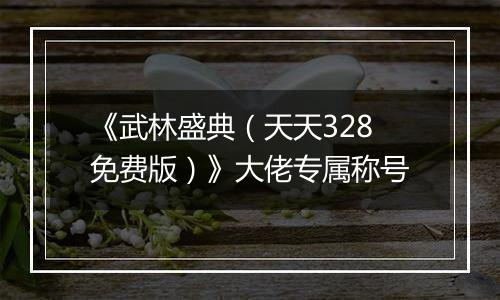 《武林盛典（天天328免费版）》大佬专属称号