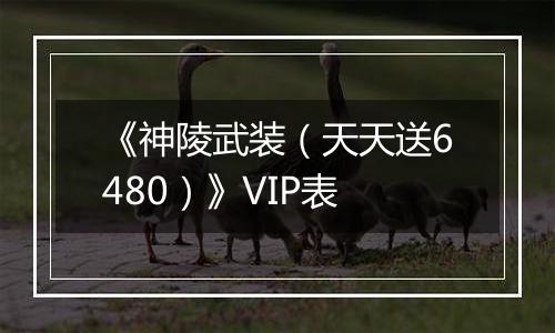 《神陵武装（天天送6480）》VIP表