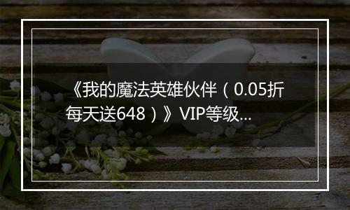 《我的魔法英雄伙伴（0.05折每天送648）》VIP等级表