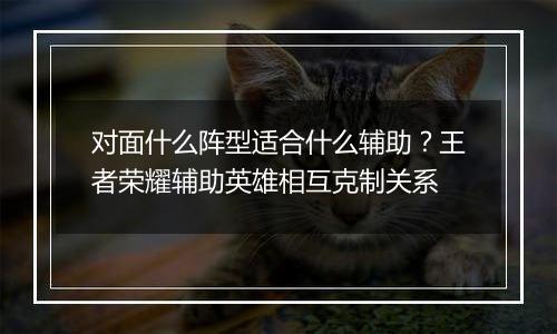 对面什么阵型适合什么辅助？王者荣耀辅助英雄相互克制关系