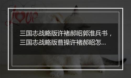 三国志战略版许褚郝昭郭淮兵书，三国志战略版曹操许褚郝昭怎么搭配战法？