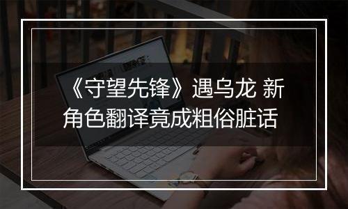 《守望先锋》遇乌龙 新角色翻译竟成粗俗脏话