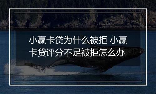 小赢卡贷为什么被拒 小赢卡贷评分不足被拒怎么办