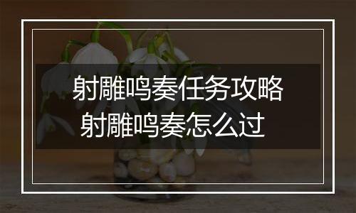 射雕鸣奏任务攻略 射雕鸣奏怎么过