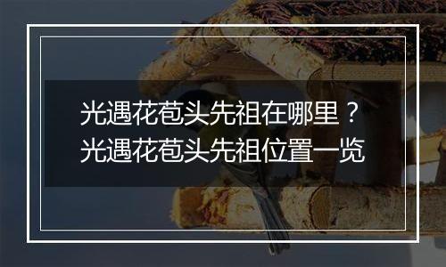 光遇花苞头先祖在哪里？光遇花苞头先祖位置一览