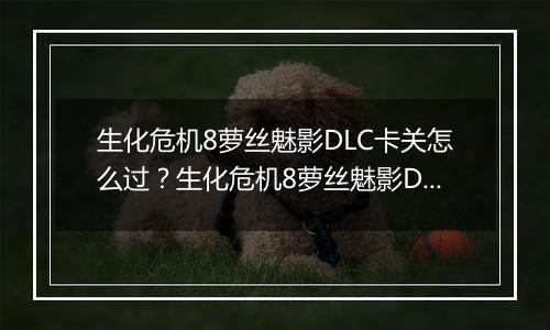 生化危机8萝丝魅影DLC卡关怎么过？生化危机8萝丝魅影DLC卡关难点分析
