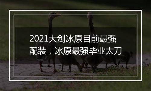 2021大剑冰原目前最强配装，冰原最强毕业太刀
