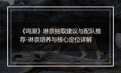 《鸣潮》琳奈抽取建议与配队推荐-琳奈培养与核心定位详解