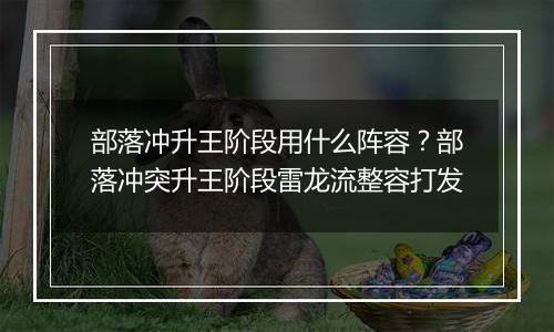 部落冲升王阶段用什么阵容？部落冲突升王阶段雷龙流整容打发