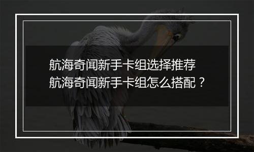 航海奇闻新手卡组选择推荐 航海奇闻新手卡组怎么搭配？