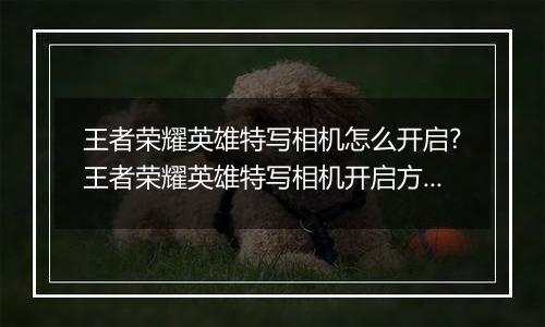 王者荣耀英雄特写相机怎么开启?王者荣耀英雄特写相机开启方法