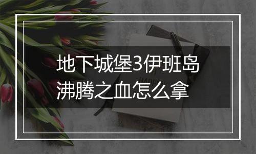 地下城堡3伊班岛沸腾之血怎么拿