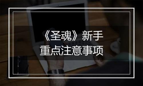 《圣魂》新手重点注意事项
