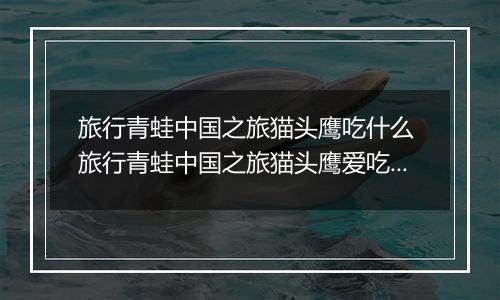 旅行青蛙中国之旅猫头鹰吃什么 旅行青蛙中国之旅猫头鹰爱吃食物一览
