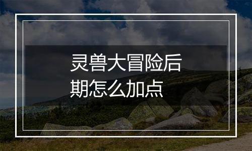 灵兽大冒险后期怎么加点