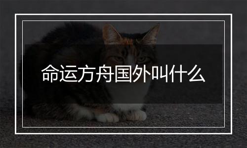 命运方舟国外叫什么