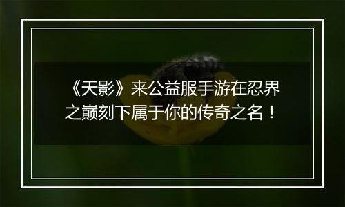 《天影》来公益服手游在忍界之巅刻下属于你的传奇之名！