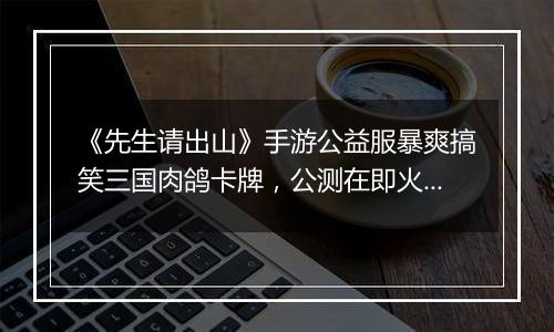 《先生请出山》手游公益服暴爽搞笑三国肉鸽卡牌，公测在即火热预约中