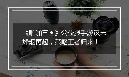 《啪啪三国》公益服手游汉末烽烟再起，策略王者归来！