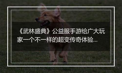 《武林盛典》公益服手游给广大玩家一个不一样的超变传奇体验!